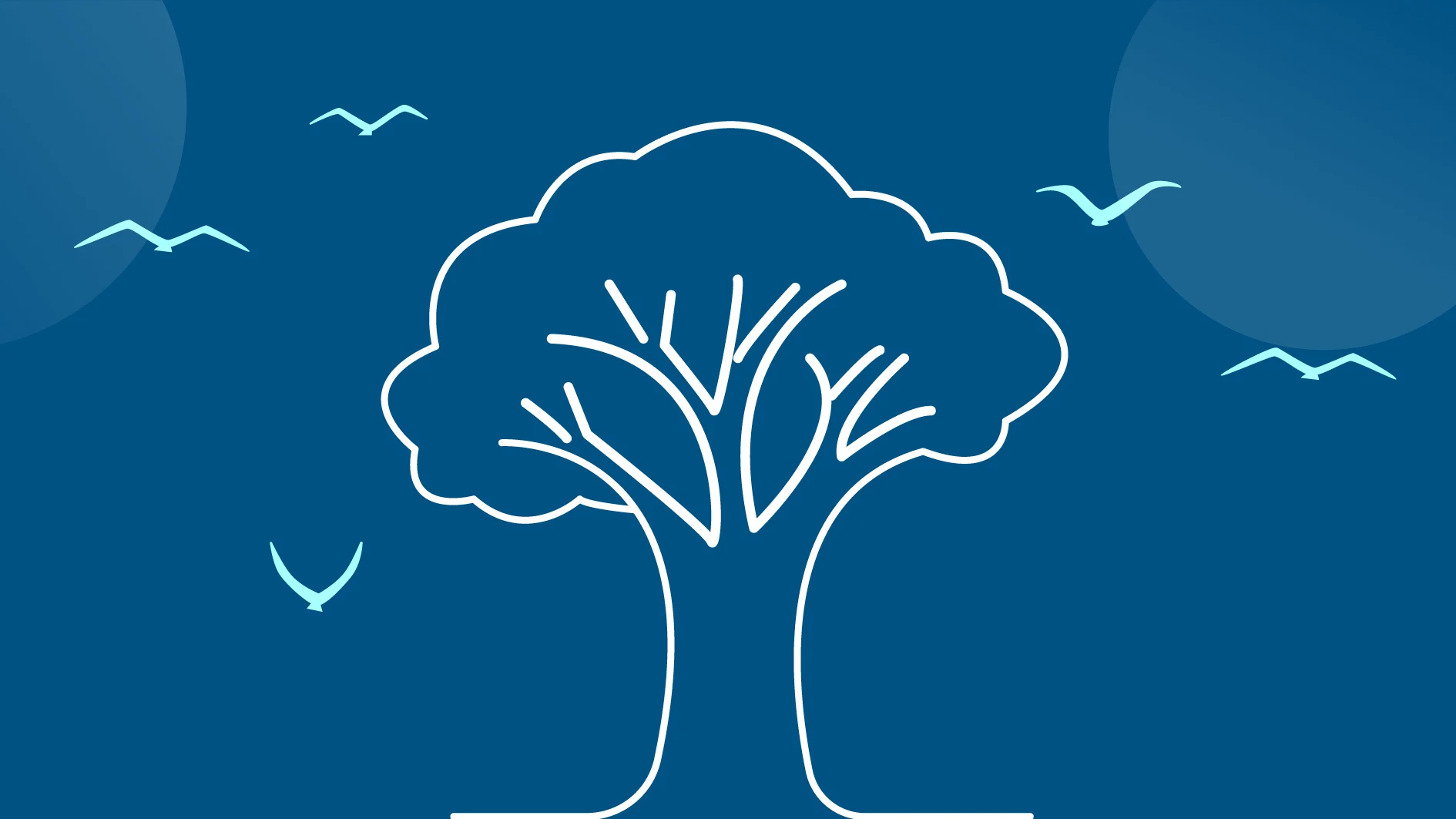 拉普拉斯-小鸟天堂